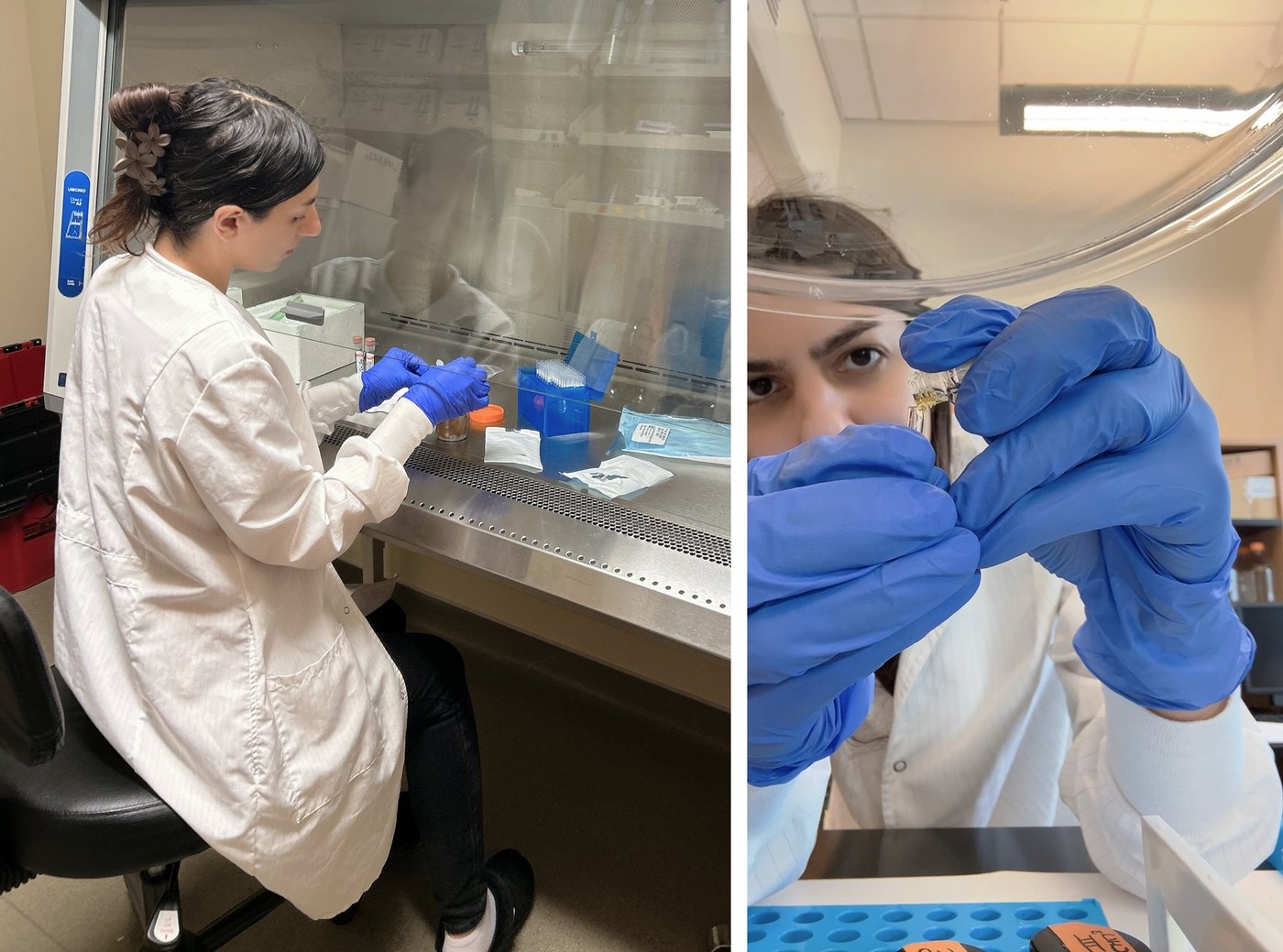 Dhillon Lab members processing samples in a biosafety cabinet and preparing a sample vial
